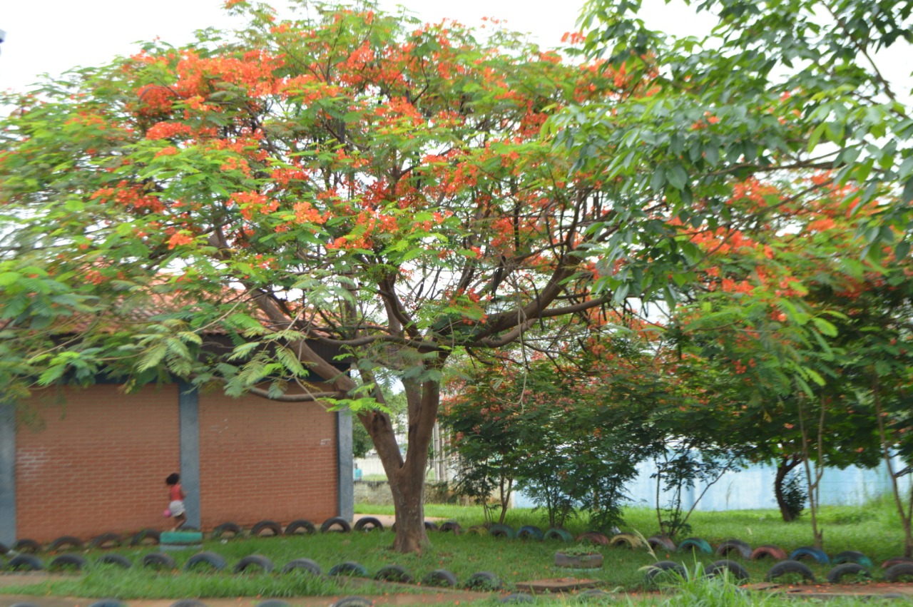 A quarta-feira em Paranaíba amanheceu com muitas nuvens em Paranaíba - Alex Santos / JPNEWS