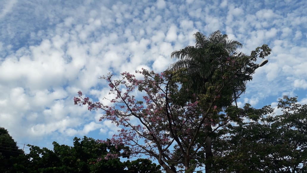 A previsão indica pancadas de chuva à tarde e à noite - Talita Matsushita/JPNEWS