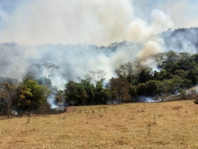 Fogo em terrenos baldios causa transtornos e problemas respiratórios - Divulgação