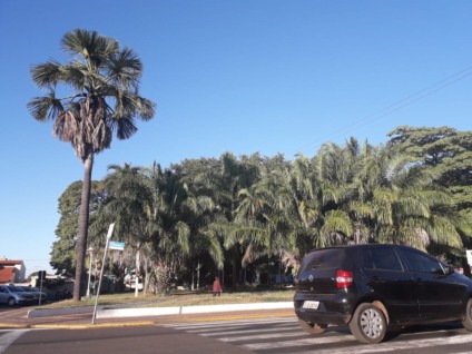 Na quinta-feira uma frente fria se aproxima do sudoeste do estado, onde o tempo amanhece nublado - Talita Matsushita/JPNEWS