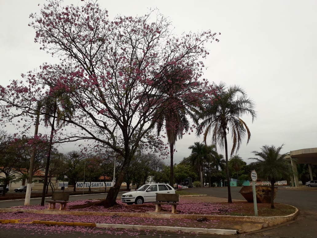 Sem previsão de chuva, terça deve ser de calor em Paranaíba