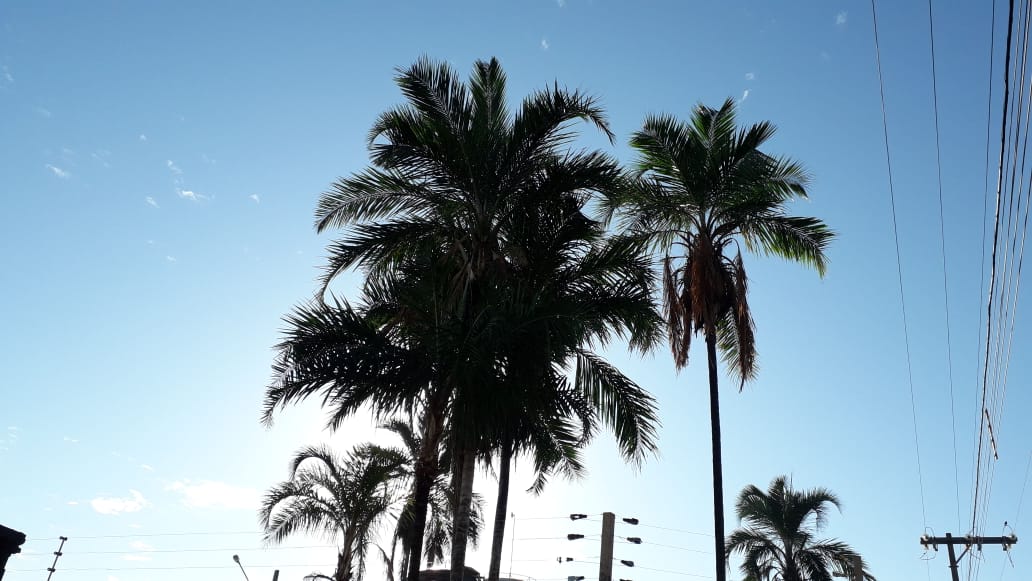 As temperaturas voltam a subir em Mato Grosso do Sul ao longo desta quarta-feira. - Talita Matsushita/JPNEWS