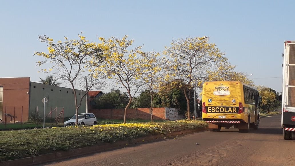 O dia começou com temperatura amena de 15°C em Paranaíba. - Talita Matsushita/JPNEWS