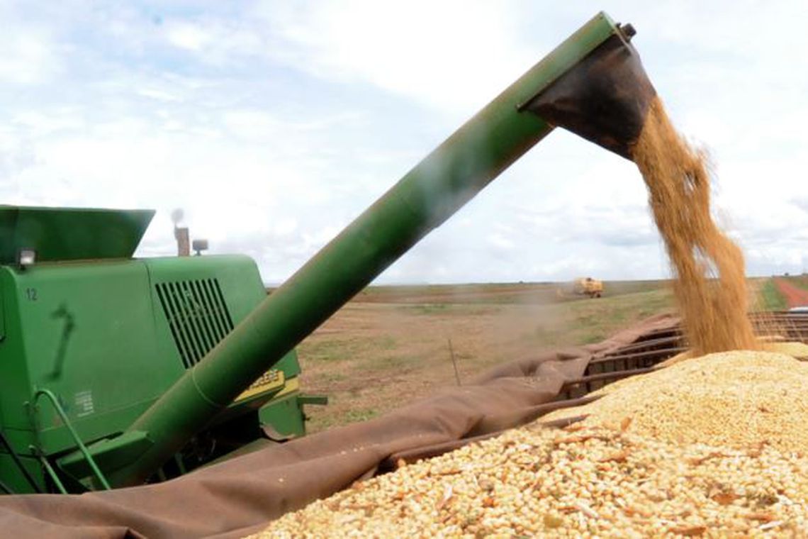 IBGE também divulgou que espera um crescimento de 2,7% na área colhida em 2019, que deve somar 62,6 milhões de hectares - Arquivo/Agência Brasil