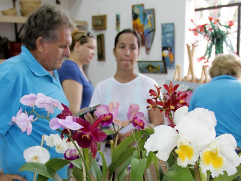 Mostra terá como expositor o Orquidário Linda Flor - Divulgação