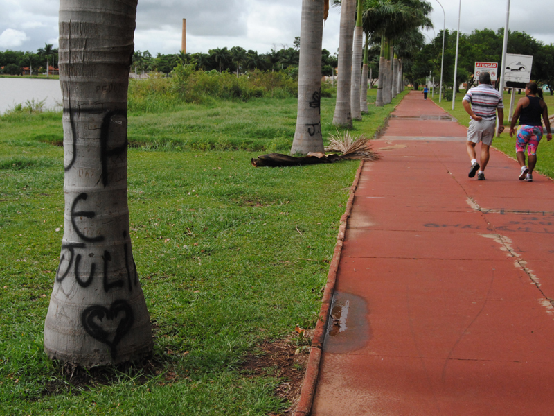 Limpeza da Lagoa Maior será feita pela Secretaria do Meio Ambiente  - Arquivo /JP