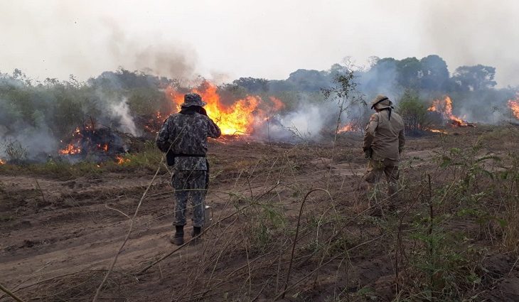 IO pantanal de Mato Grosso do Sul teve 1,9 milhões de hectares atingidos pelo fogo em 2020, de acordo com dados do Lasa/UFRJ. - Divulgação/Corpo de Bombeiros