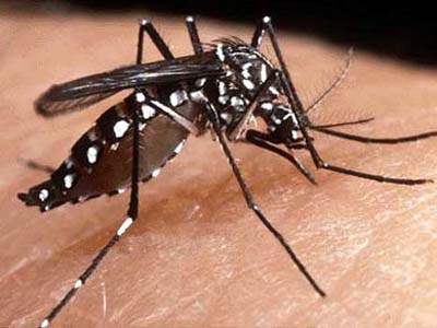 Em Mato Grosso do Sul foram notificados até o dia 9 de abril pela Planilha Simplificada 8.950 casos suspeitos de -