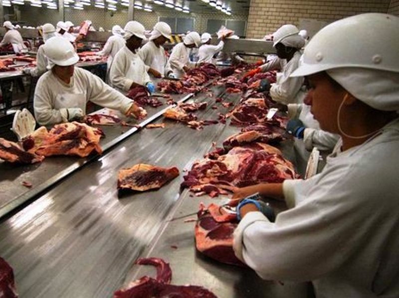 - Divulgação/Notícias MS - Divulgação/Notícias MS