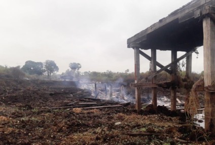 Pouco mais de 25% do bioma pantaneiro foi destruído pelo fogo - Portal do MS