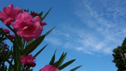 Em Paranaíba a quarta-feira amanheceu com céu aberto com algumas nuvens - Talita Matsushita