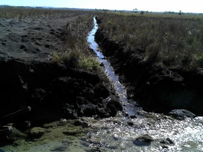 Flagrante realizado na propriedade rural - Assessoria/PMA-MS