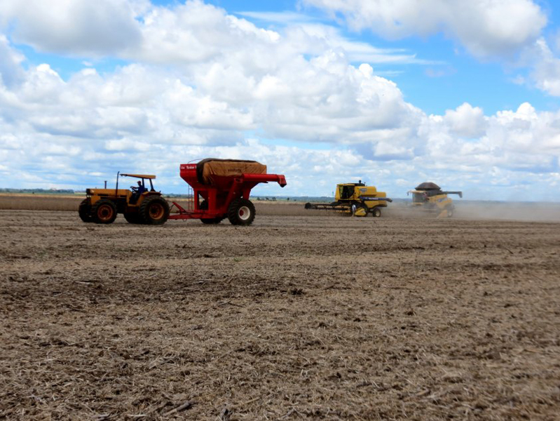 Área total da soja no Estado corresponde a 2,3 milhões de hectares - Divulgação