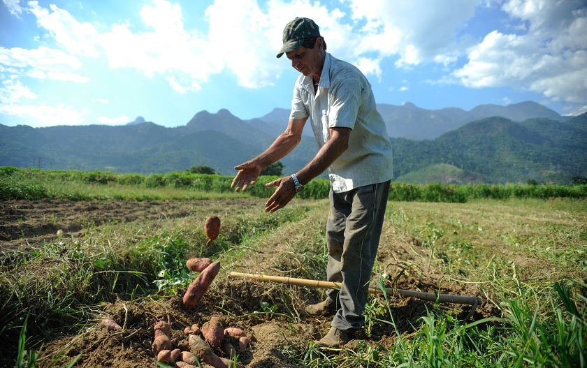 Produtores poderão parcelar dívida em até 176 vezes - Agência Brasil