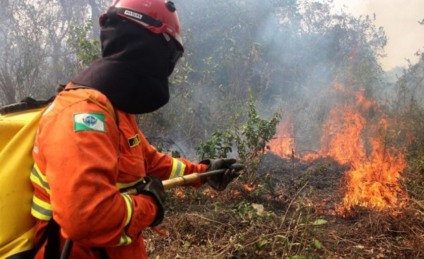 Equipe com 40 bombeiros vai ajudar o Pantanal - Foto: Silvio Andrade/Portal MS