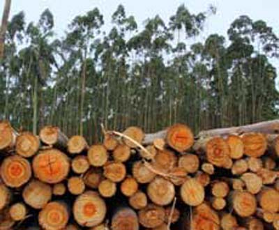 A produção de janeiro a setembro de 2010 é 6,6 % maior que nos mesmos meses de 2009 - A produção de janeiro a setembro de 2010 é 6,6 % maior que nos mesmos meses de 2009 -