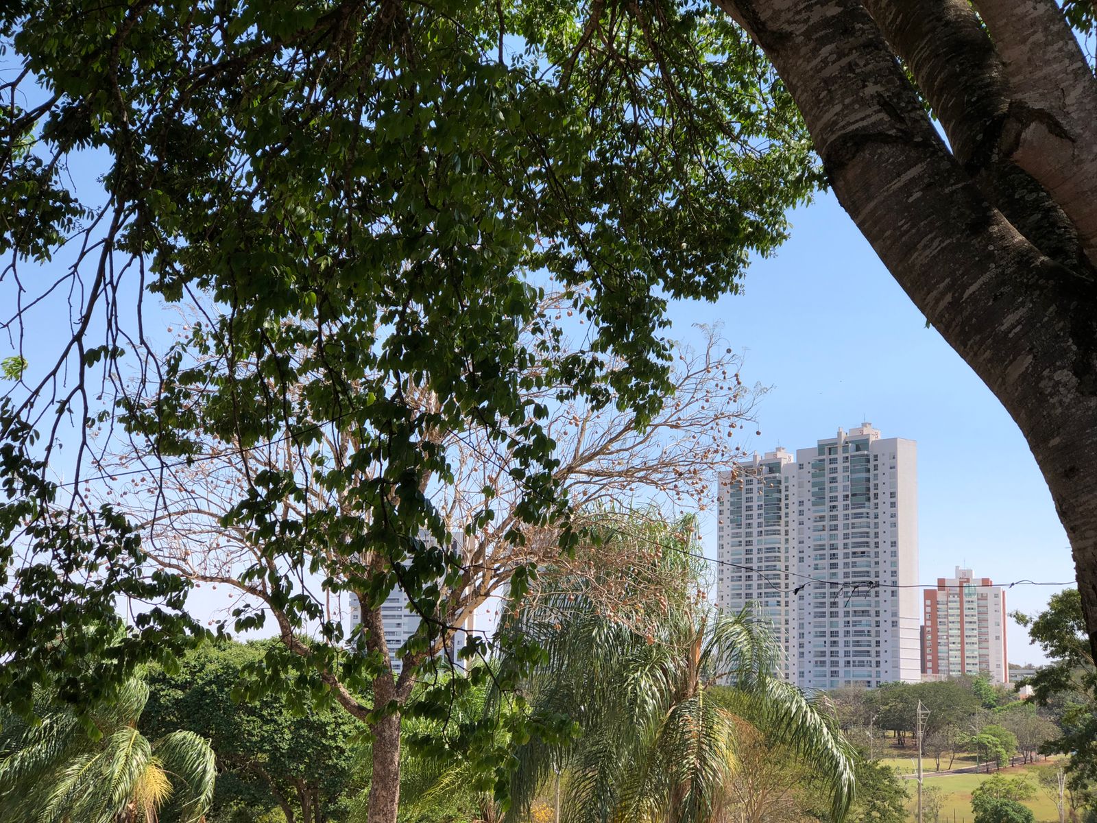 Em Campo Grande, o termômetro deve chegar aos 36 °C