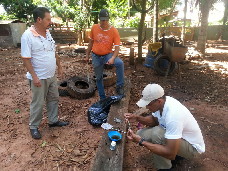 Agentes de saúde estão percorrendo imóveis em busca de criadouros da doença - Departamento de Comunicação