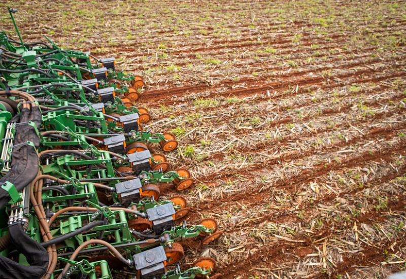 Em MS, até a última sexta-feira (4), apenas 5% da área destinada à plantação havia sido cultivada | Foto: Reprodução/CNA