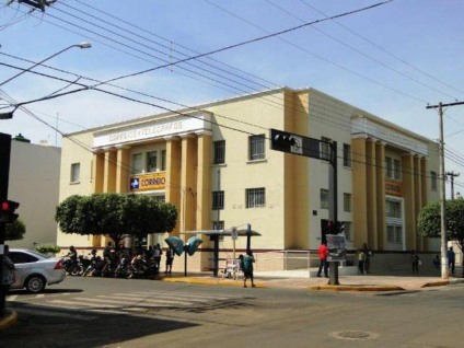  - Reprodução