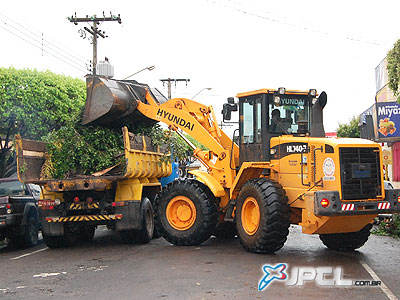 Primeira medida é retirar árvores caídas e galhadas -