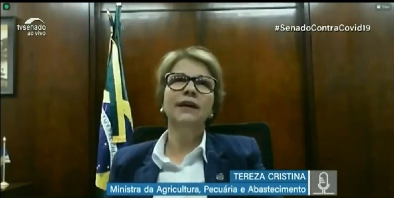  - Foto: Reprodução/Senado