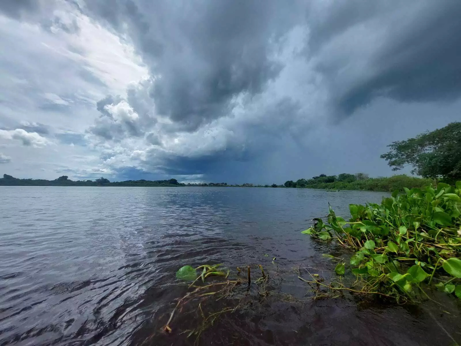 Pantanal pode registrar volume de chuva entre 20 e 30 mm/h ou até 50 mm/dia, além de ventos intensos - Foto: Secom/MS