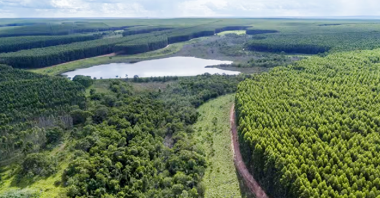 Arauco administra várias propriedades rurais em Três Lagoas