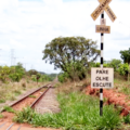 Contorno ferroviário construído em Três Lagoas está tomado por mato.