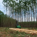 Ao todo serão 90 oportunidades para as funções de operador, motorista, ajudante florestal, auxiliar de cozinha e mecânico.