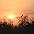 Mesmo com o aviso de perigo de tempestade, o dia deve seguir com muito calor.