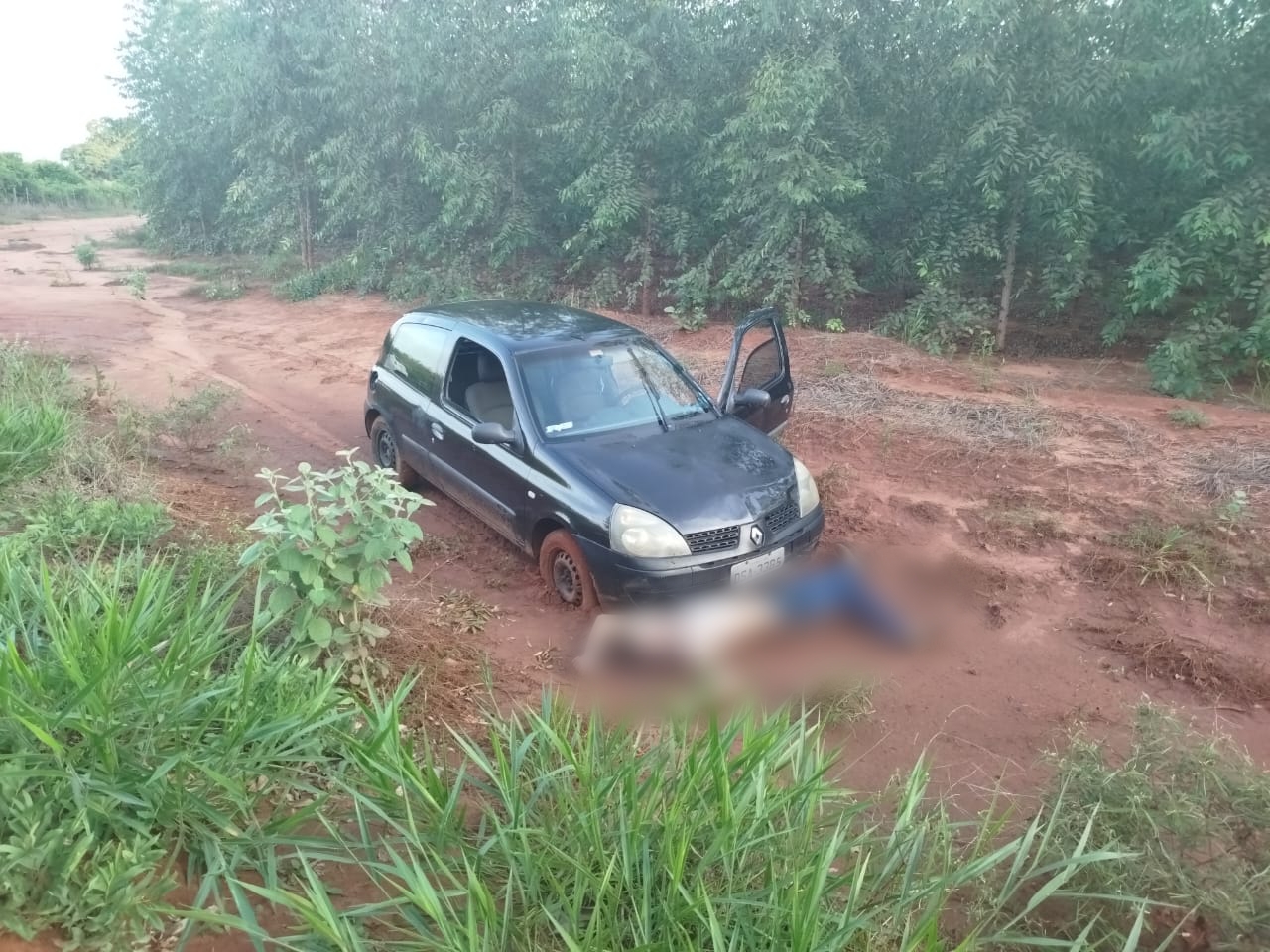 Homem é executado com tiro na cabeça e "desovado" em floresta de eucalipto