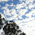 Dia deve ser de nuvens no céu em boa parte dos municípios do estado. 