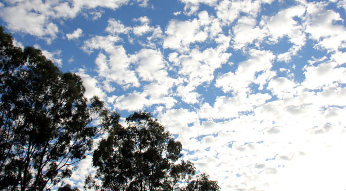 Dia deve ser de nuvens no céu em boa parte dos municípios do estado. 