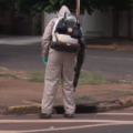 Agentes de Endemias têm borrifado veneno em todas as áreas onde possa haver o mosquito infectado.