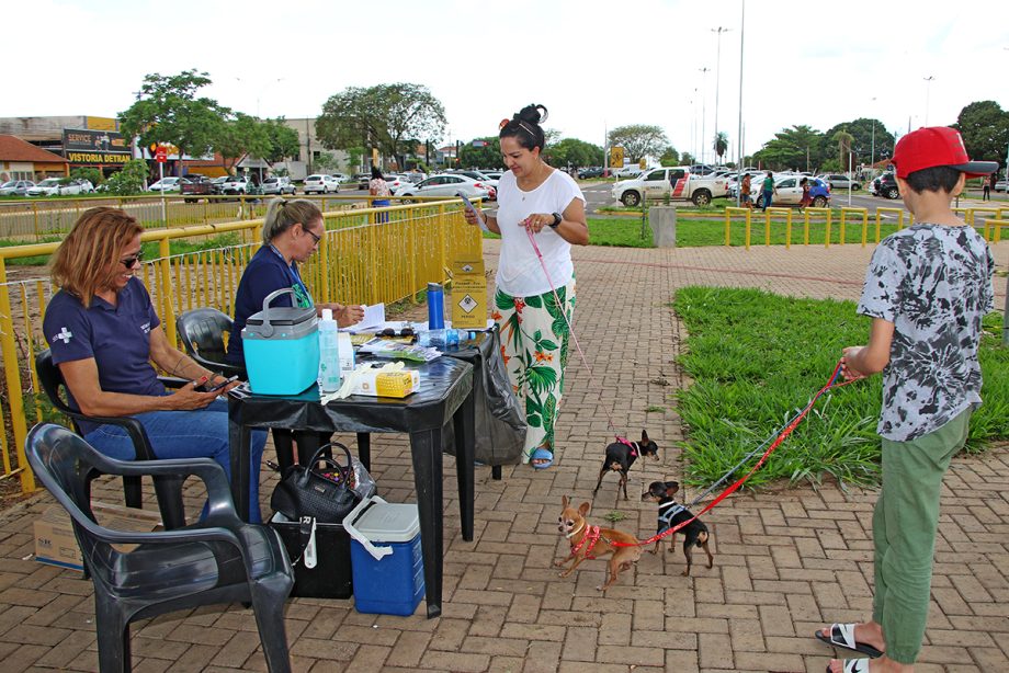 Caso o animal possua carteira de vacinação, é recomendado levar. | Foto: Divulgação/Assessoria