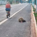 Este é o segundo incidente registrado na área em menos de um mês.