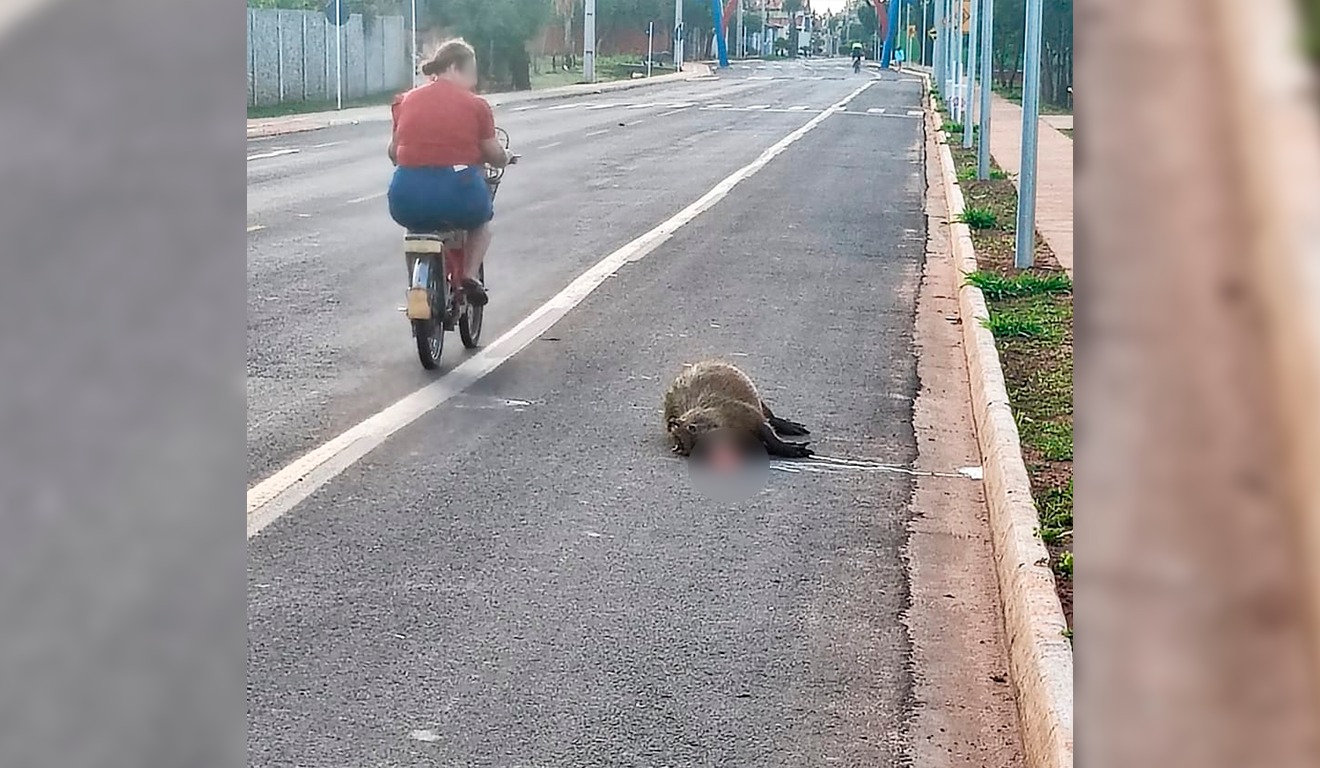 Este é o segundo incidente registrado na área em menos de um mês.