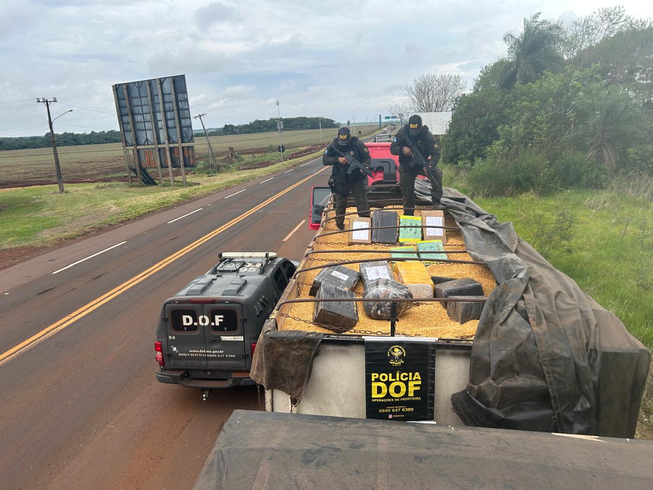 Motorista confessou que receberia R$ 60 mil pelo transporte do entorpecente, avaliado em mais de R$ 31 milhões