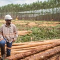 Feirão de empregos da Eldorado Brasil acontece neste sábado em Água Clara