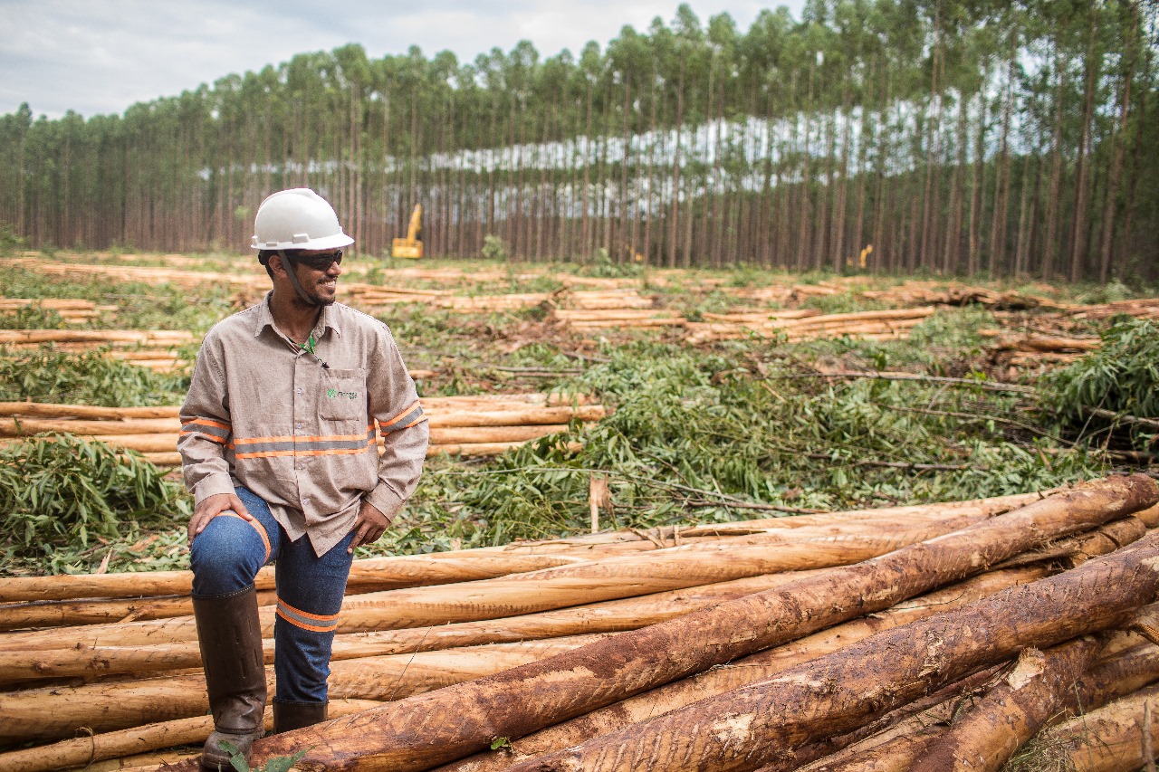 Feirão de empregos da Eldorado Brasil acontece neste sábado em Água Clara | Divulgação / Eldorado Brasil