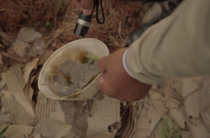 É preciso ficar atento aos locais que podem servir de criadouro para o mosquito transmissor.