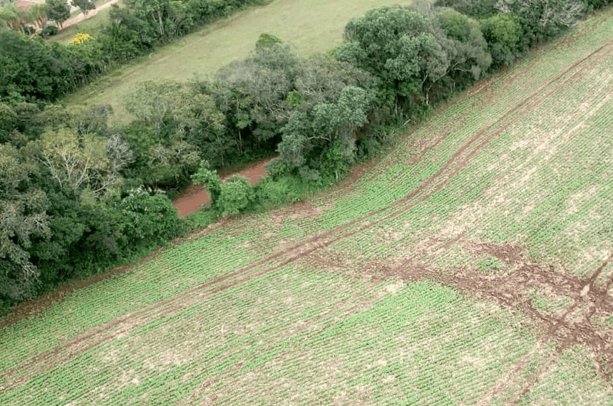 Texto garante mesmo tratamento no Imposto de Renda às ações de preservação e à produção agrícola