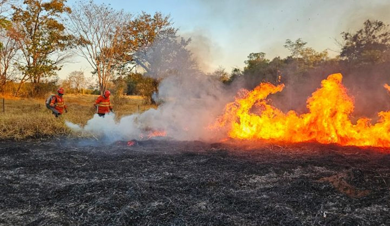 Operação Pantanal mantém vigilância em áreas consideradas críticas no Pantanal e sudoeste do estado | Foto: CBMMS