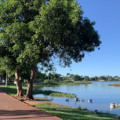 A temperatura máxima pode chegar aos 35°C