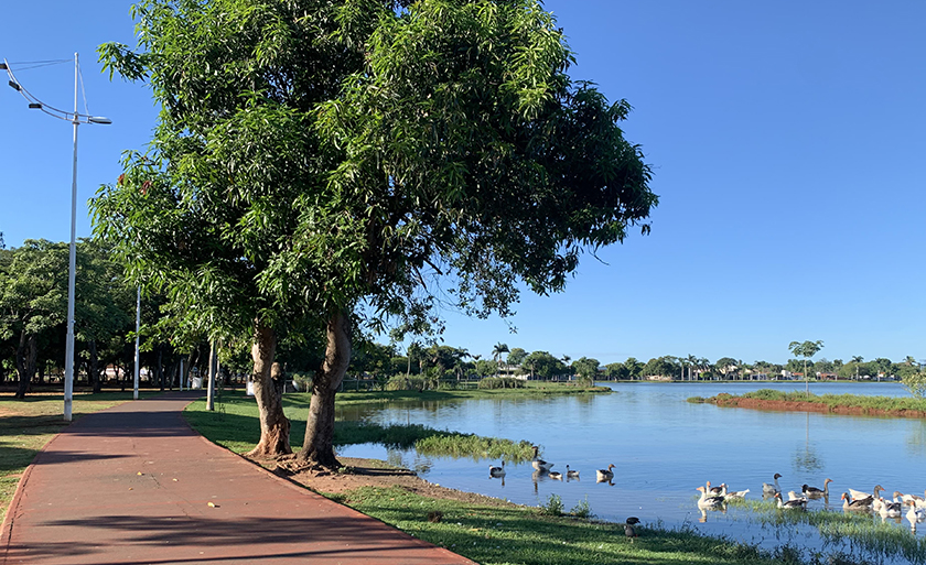 A temperatura máxima pode chegar aos 35°C