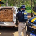 Os policiais fiscalizavam na BR-158, em Três Lagoas, quando abordaram uma Mmc/Pajero.