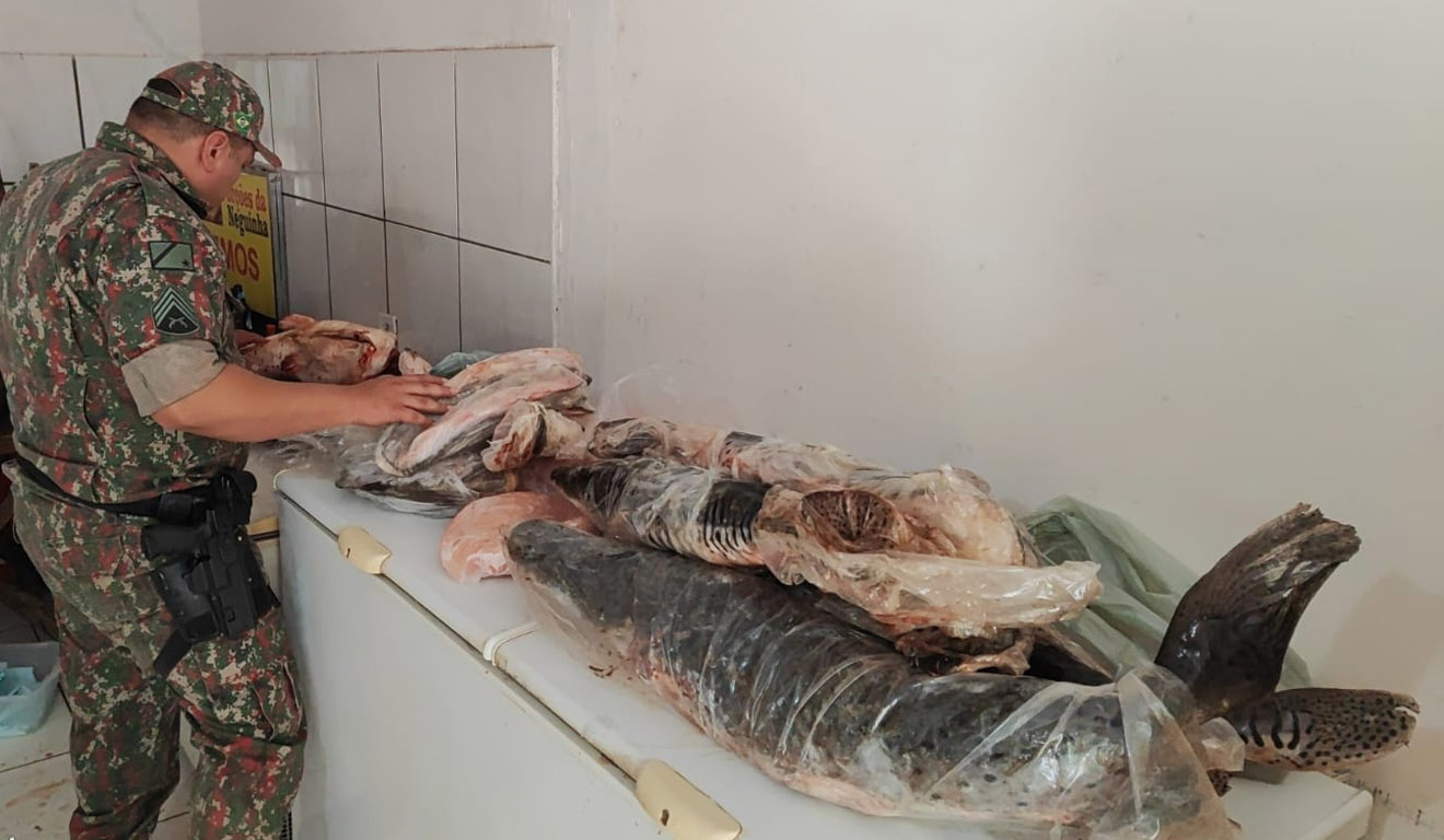 Comércio de pescado é alvo de fiscalização e multa