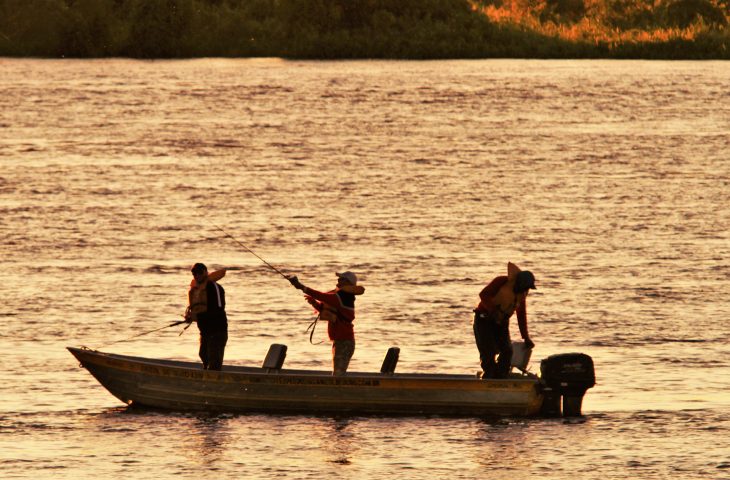 Um detalhe importante para a região é que nos rios federais (Paranaíba, Paraná e Aporé) é permitido capturar até 10 kg + 1 exemplar dessas espécies exóticas por pescador