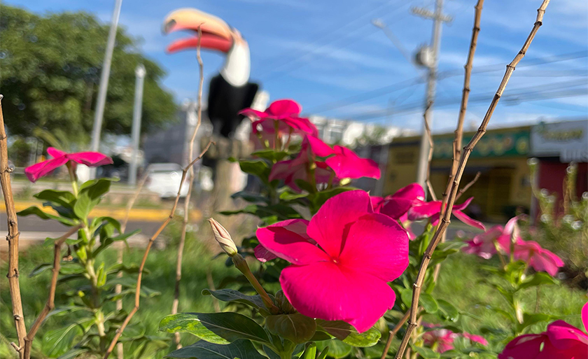 Temperatura máxima pode chegar aos 34°C